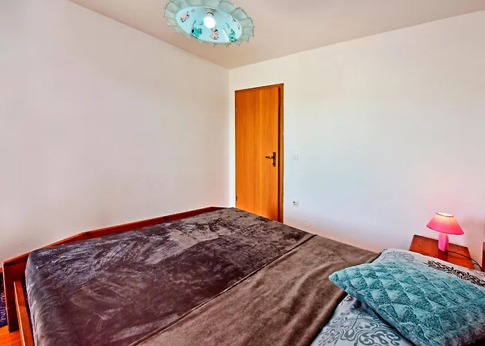 Novigrad 6951g *